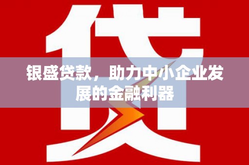 天宁银盛贷款，助力中小企业发展的金融利器