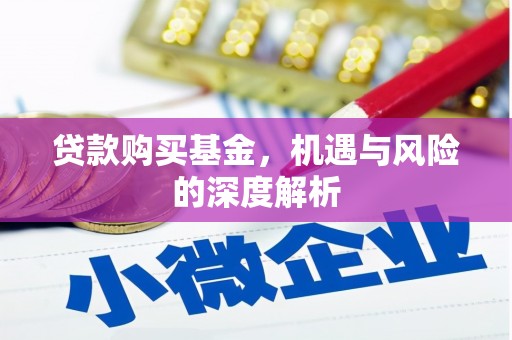 天宁贷款购买基金，机遇与风险的深度解析