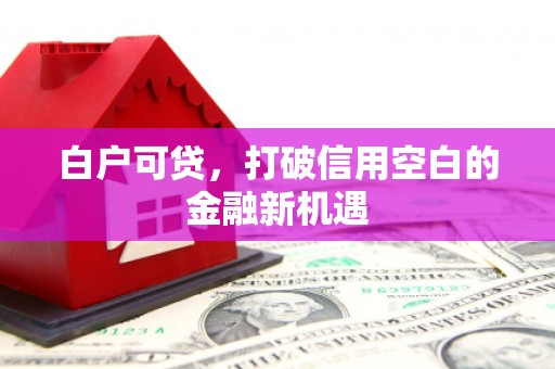 天宁白户可贷，打破信用空白的金融新机遇