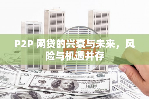 天宁P2P 网贷的兴衰与未来，风险与机遇并存