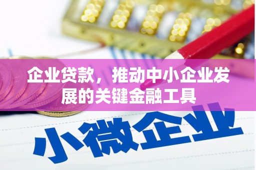 天宁企业贷款，推动中小企业发展的关键金融工具