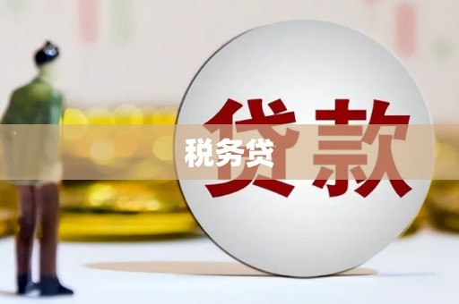 天宁税务贷