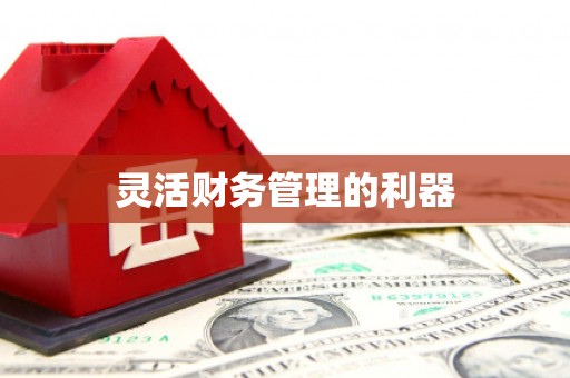 天宁灵活财务管理的利器