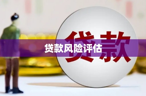 天宁贷款风险评估
