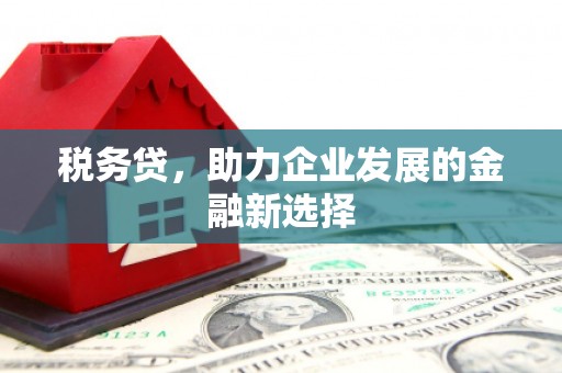 天宁税务贷，助力企业发展的金融新选择