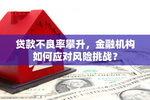 天宁贷款不良率攀升，金融机构如何应对风险挑战？