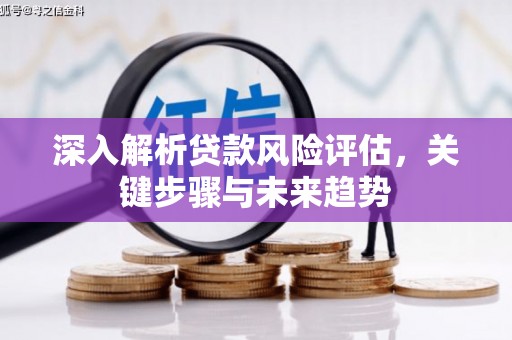天宁深入解析贷款风险评估，关键步骤与未来趋势