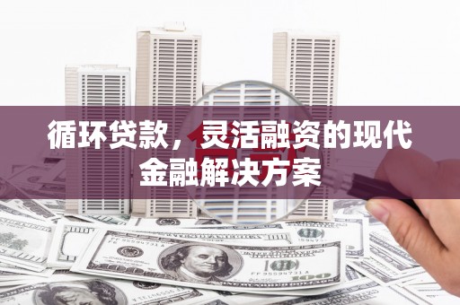 天宁循环贷款，灵活融资的现代金融解决方案