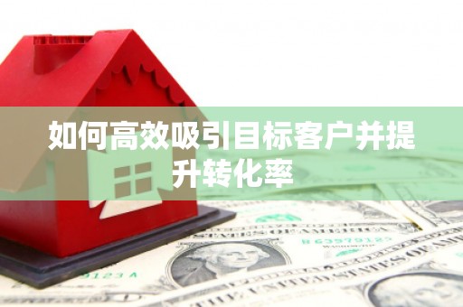 天宁如何高效吸引目标客户并提升转化率