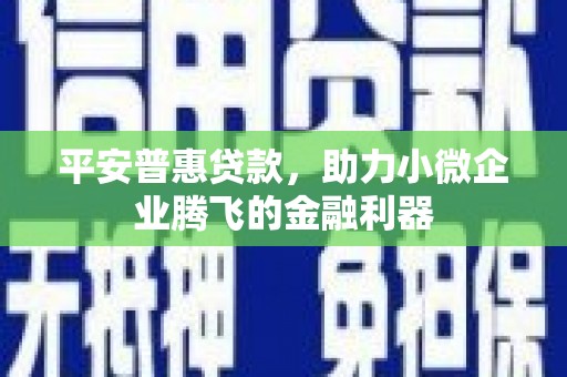 天宁平安普惠贷款，助力小微企业腾飞的金融利器
