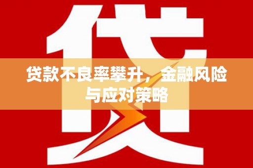 天宁贷款不良率攀升，金融风险与应对策略