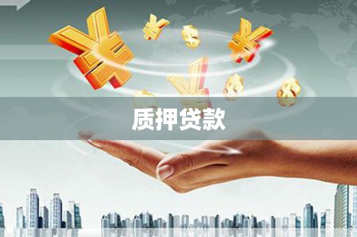 天宁质押贷款