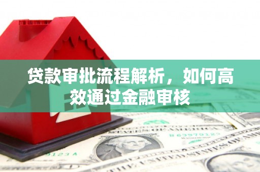 天宁贷款审批流程解析，如何高效通过金融审核