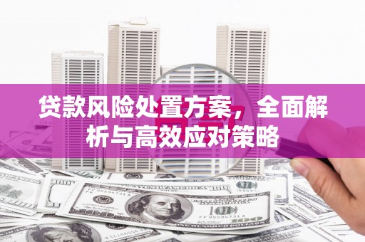 天宁贷款风险处置方案，全面解析与高效应对策略