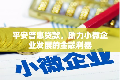 天宁平安普惠贷款，助力小微企业发展的金融利器