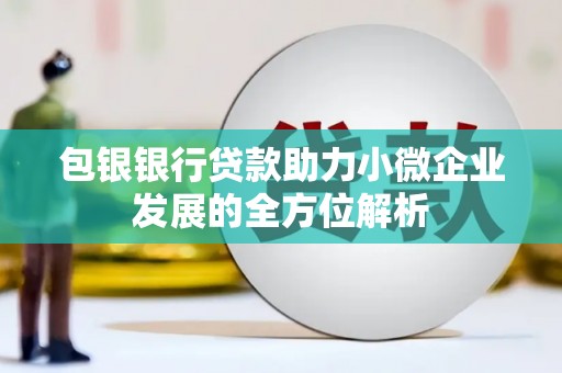 天宁包银银行贷款助力小微企业发展的全方位解析