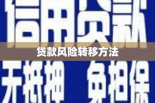 天宁贷款风险转移方法