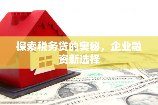 天宁探索税务贷的奥秘，企业融资新选择