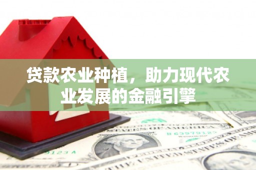 天宁贷款农业种植，助力现代农业发展的金融引擎