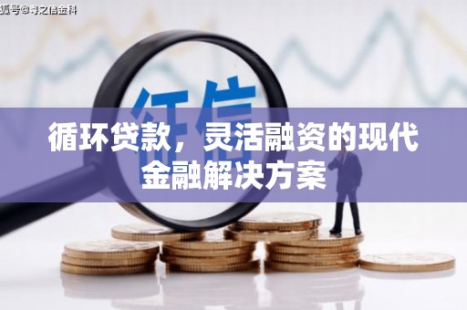 天宁循环贷款，灵活融资的现代金融解决方案