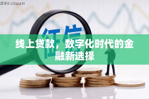 天宁线上贷款，数字化时代的金融新选择