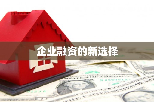 天宁企业融资的新选择