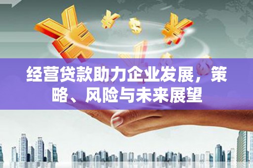 天宁经营贷款助力企业发展，策略、风险与未来展望