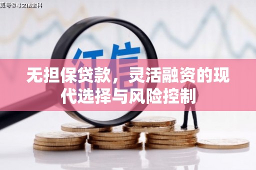 天宁无担保贷款，灵活融资的现代选择与风险控制