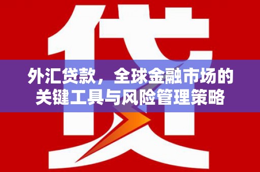 天宁外汇贷款，全球金融市场的关键工具与风险管理策略