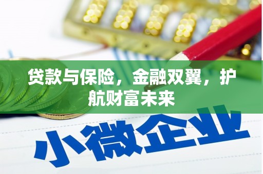 天宁贷款与保险，金融双翼，护航财富未来