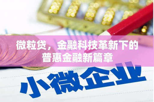 天宁微粒贷，金融科技革新下的普惠金融新篇章