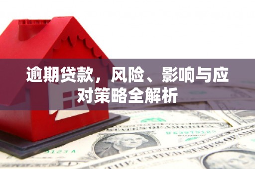 天宁逾期贷款，风险、影响与应对策略全解析