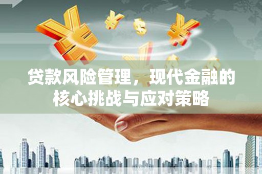 天宁贷款风险管理，现代金融的核心挑战与应对策略