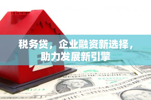 天宁税务贷，企业融资新选择，助力发展新引擎