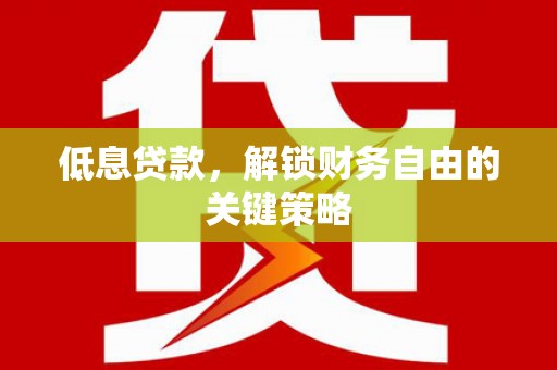 天宁低息贷款，解锁财务自由的关键策略