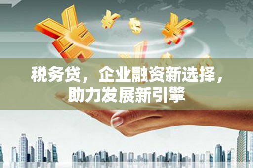 天宁税务贷，企业融资新选择，助力发展新引擎