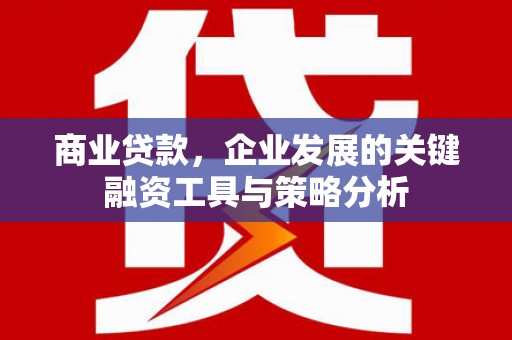 天宁商业贷款，企业发展的关键融资工具与策略分析