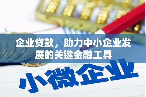 天宁企业贷款，助力中小企业发展的关键金融工具