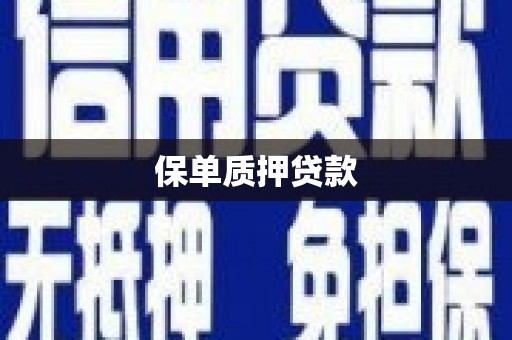 天宁保单质押贷款