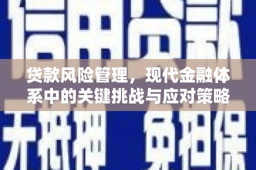 天宁贷款风险管理，现代金融体系中的关键挑战与应对策略