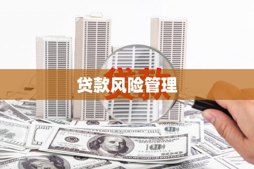 天宁贷款风险管理