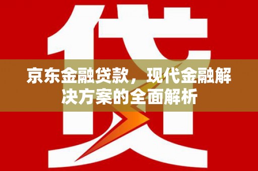 天宁京东金融贷款，现代金融解决方案的全面解析
