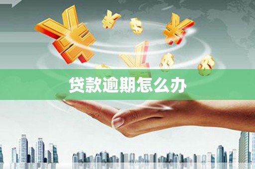 天宁贷款逾期怎么办