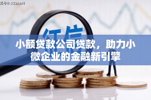 天宁小额贷款公司贷款，助力小微企业的金融新引擎