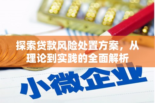 天宁探索贷款风险处置方案，从理论到实践的全面解析