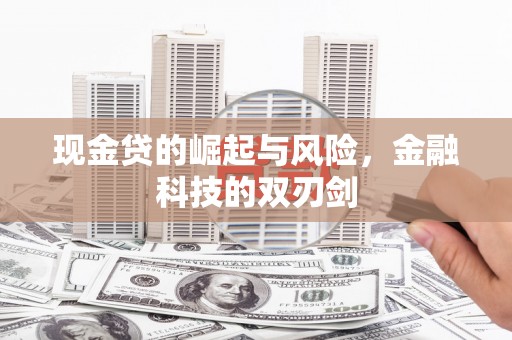 天宁现金贷的崛起与风险，金融科技的双刃剑