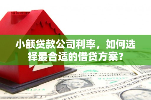 天宁小额贷款公司利率，如何选择最合适的借贷方案？