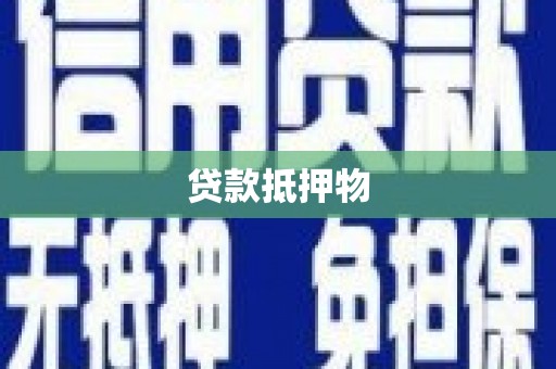 天宁贷款抵押物
