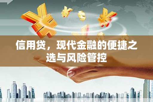 天宁信用贷，现代金融的便捷之选与风险管控