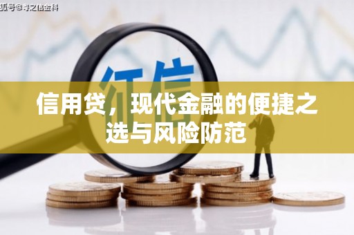 天宁信用贷，现代金融的便捷之选与风险防范